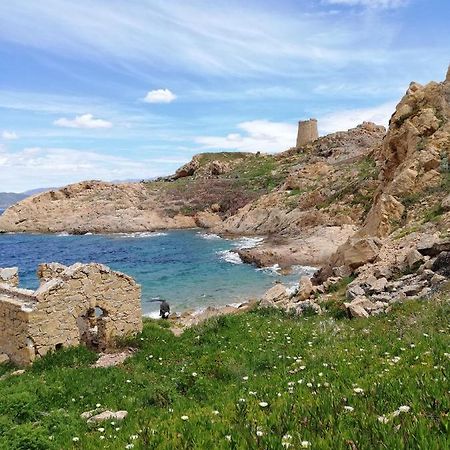 Joli Appartement En Corse Avec Piscine Belgodère المظهر الخارجي الصورة