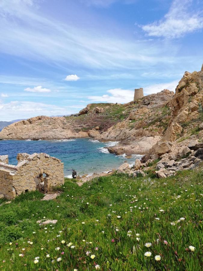 Joli Appartement En Corse Avec Piscine Belgodère المظهر الخارجي الصورة